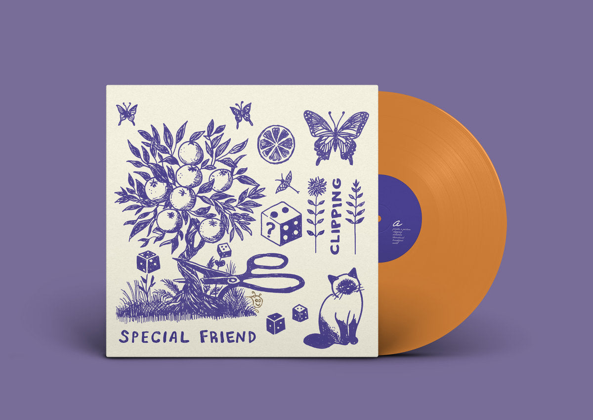 Special Friend - Clipping (album)