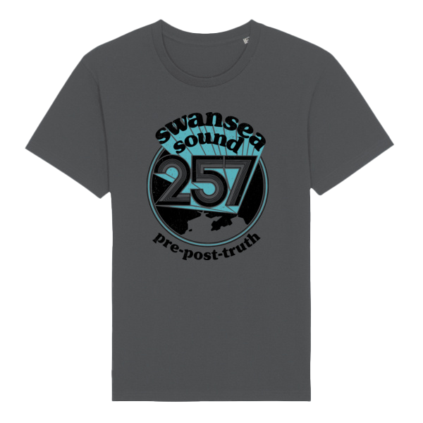 Swansea Sound - Pre-post-truth t-shirt