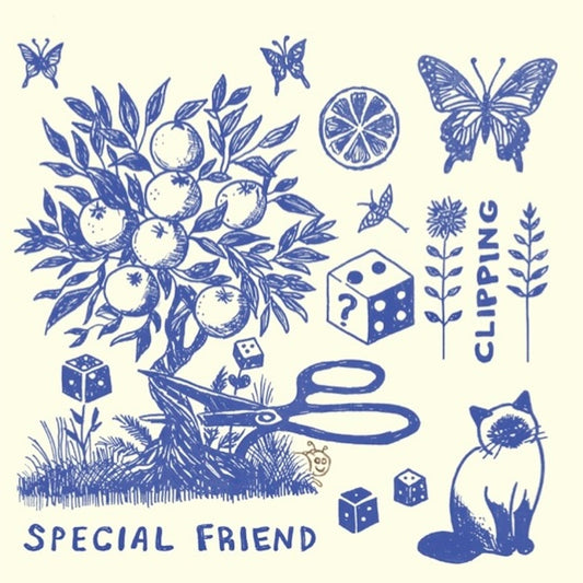 Special Friend - Clipping (album)