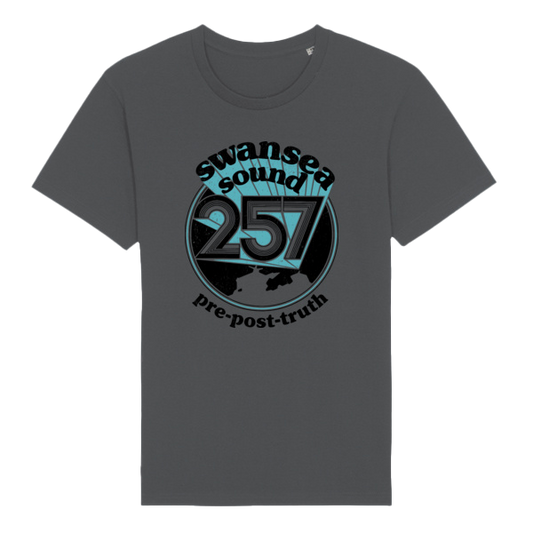 Swansea Sound - Pre-post-truth t-shirt